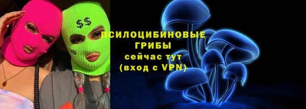 гидра Арсеньев