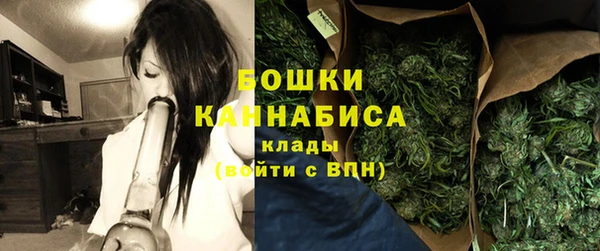 гидра Арсеньев