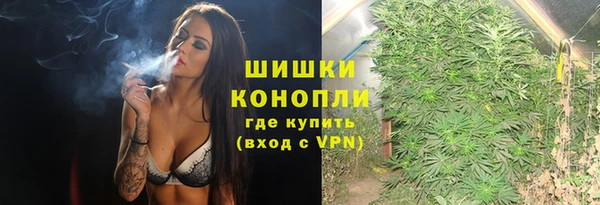 гидра Арсеньев