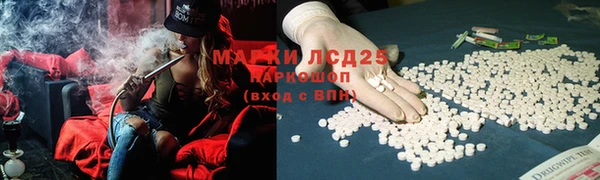 молекула духа Аркадак